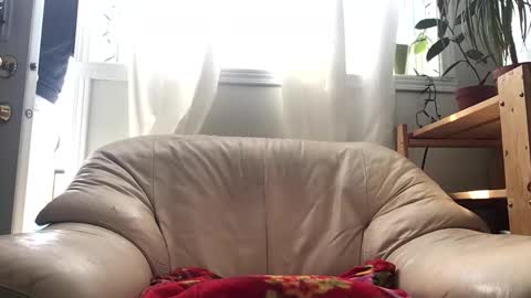 Jacob online show from February 2026 04:59:01 PM