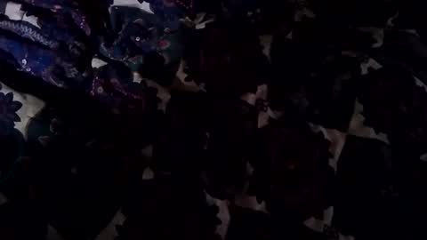 Jason online show from February 2025 04:11:02 PM