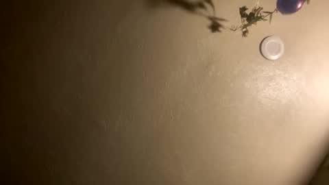 Jason online show from January 2026 02:03:01 AM