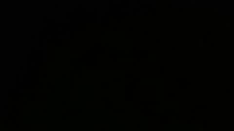 Jamie Rose Queenschild ever... online show from February 2025 07:37:01 AM