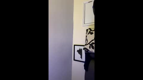 Allen online show from December 2025 05:13:01 AM