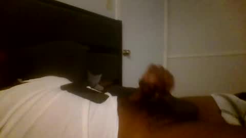 Snapshot of jamacianmehorny chatting on December 2024 03:19:01 AM Jamacian online show from December 2024 03:19:01 AM