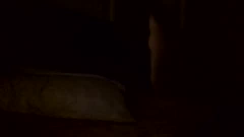 Snapshot of jamacianmehorny chatting on February 2025 05:59:01 PM Jamacian online show from February 2025 05:59:01 PM