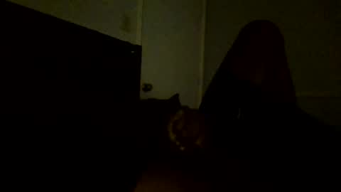 Snapshot of jamacianmehorny chatting on February 2025 11:11:02 PM Jamacian online show from February 2025 11:11:02 PM