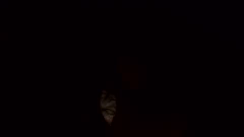 Snapshot of jamacianmehorny chatting on March 2025 10:17:01 AM Jamacian online show from March 2025 10:17:01 AM