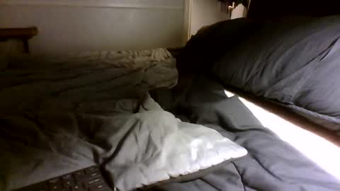 Snapshot of jamacianmehorny chatting on September 2025 03:00:01 AM Jamacian online show from September 2025 03:00:01 AM