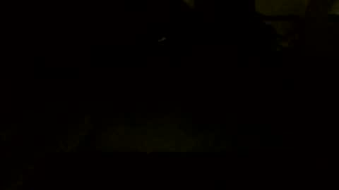 Snapshot of jamacianmehorny chatting on October 2025 09:45:01 PM Jamacian online show from October 2025 09:45:01 PM