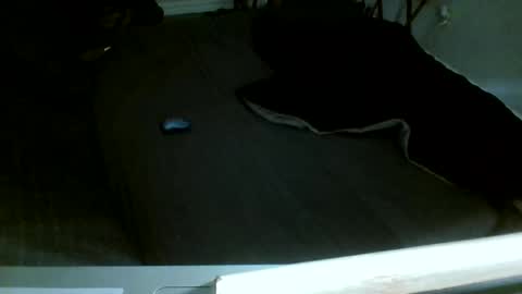 Snapshot of jamacianmehorny chatting on December 2025 08:13:02 PM Jamacian online show from December 2025 08:13:02 PM