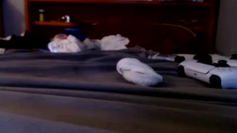 what you in too online show from September 2025 02:23:01 AM