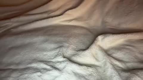 Snapshot of jamesdean0101 chatting on January 2026 10:47:02 PM jamesdean0101 online show from January 2026 10:47:02 PM