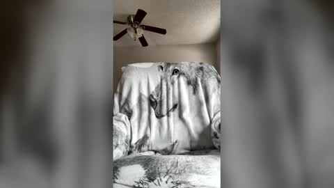 jameswolf777 online show from April 2026 07:03:02 PM