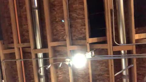 Snapshot of jamie19905 chatting on October 2025 02:25:02 AM jamie19905 online show from October 2025 02:25:02 AM