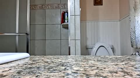 Supafly307blueeyes9in online show from February 2025 03:41:02 PM