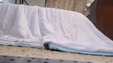 Bootyshows online show from February 2026 03:45:01 PM