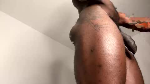 Janstallionx Independent official account online show from February 2026 09:43:01 PM