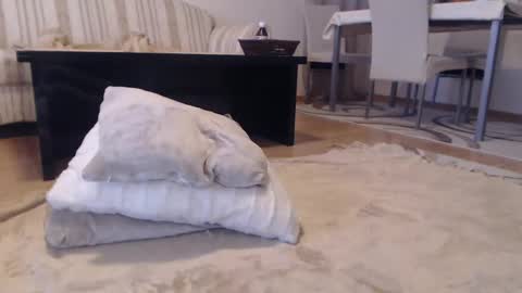 Snapshot of jaqueline88 chatting on January 2025 08:11:02 AM jaqueline88 online show from January 2025 08:11:02 AM