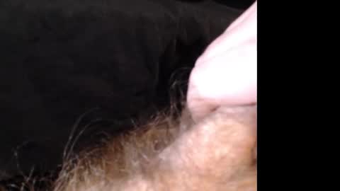 Snapshot of jasoncummings chatting on December 2024 02:53:01 PM Jason online show from December 2024 02:53:01 PM