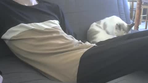 Snapshot of jasper_0_e23cm chatting on September 2025 07:43:01 AM jasper 0 e23cm online show from September 2025 07:43:01 AM