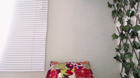 JKing  online show from January 2025 05:05:01 PM