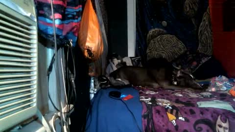 Snapshot of jax_skyfallin chatting on February 2025 04:46:02 AM jaxxx666 online show from February 2025 04:46:02 AM