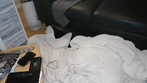 jax online show from December 2024 08:28:02 AM