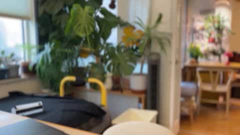 jaxz29 online show from February 2026 08:20:02 PM