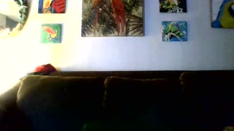 jay-jay1475 online show from February 2026 09:42:01 PM