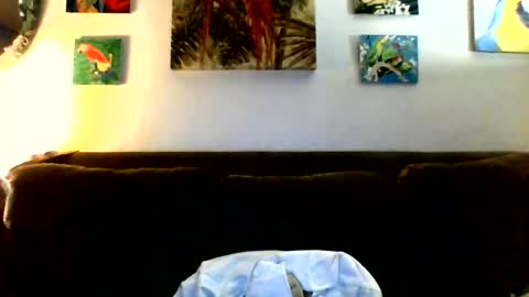 jay-jay1475 online show from July 2026 06:50:02 PM