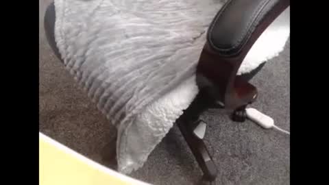 Snapshot of jayboo777 chatting on October 2025 10:14:02 PM sissy gurl online show from October 2025 10:14:02 PM