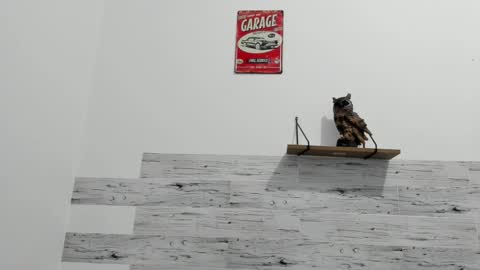 Jaycreedd online show from February 2025 03:56:02 AM