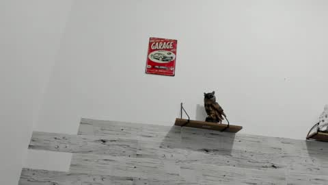 Jaycreedd online show from March 2025 02:34:01 AM