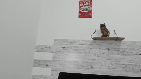 Jaycreedd online show from November 2025 04:56:01 AM