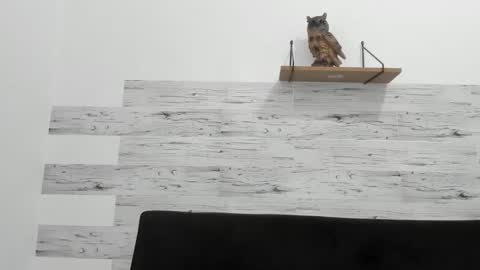 Jaycreedd online show from November 2025 04:53:01 PM