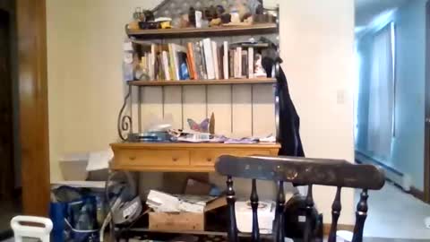 jaythenorth online show from February 2026 04:56:02 PM