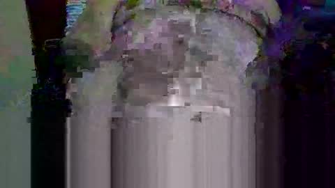 jb78510170 online show from December 2025 05:35:02 AM