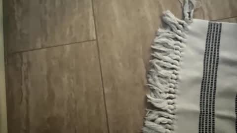 jbigblue online show from January 2026 01:49:01 PM