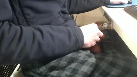 jc200000 online show from January 2025 06:07:01 PM