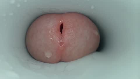 Snapshot of jeffrodgerschaturbat chatting on October 2025 11:18:02 AM jeffrodgerschaturbat online show from October 2025 11:18:02 AM