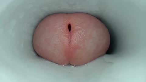 jeffrodgerschaturbat online show from April 2026 02:56:01 AM