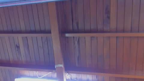 jeicob gagnon online show from February 2025 04:16:02 PM