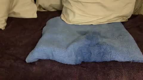 Jelli and Melli online show from March 2025 07:21:02 AM