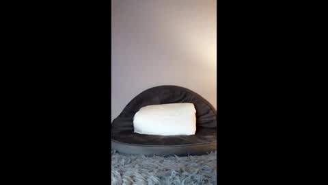 Jenny Star online show from February 2026 05:05:02 PM