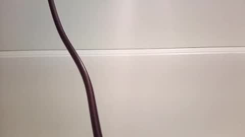 Snapshot of jeremymeyerprofessional chatting on May 2026 11:07:01 AM jeremymeyerprofessional online show from May 2026 11:07:01 AM