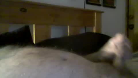 jerkmate6666 online show from March 2026 09:32:01 PM