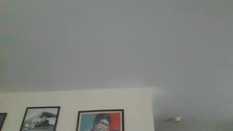 Harry online show from December 2024 09:31:01 AM