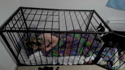 Snapshot of jesdoingnsfw chatting on March 2026 02:27:02 AM jesdoingnsfw online show from March 2026 02:27:02 AM