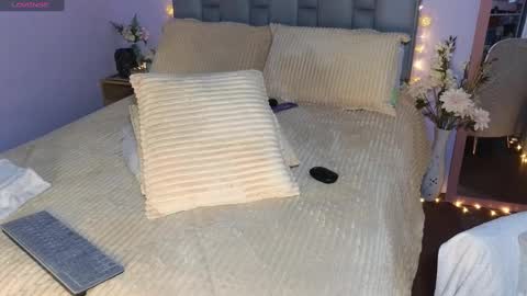 Snapshot of jessie_gomez chatting on January 2025 02:47:02 AM Sofia online show from January 2025 02:47:02 AM