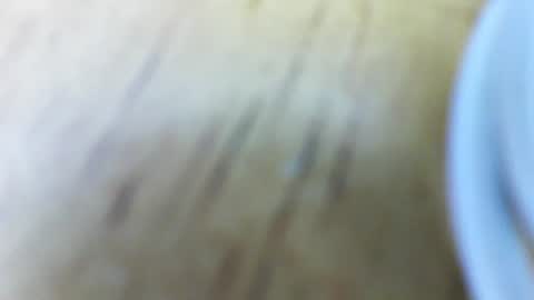 Snapshot of jessiehammerdik chatting on February 2025 05:57:02 AM Dixon Cider online show from February 2025 05:57:02 AM