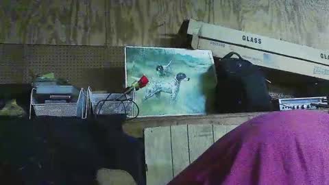 Snapshot of jessiehammerdik chatting on March 2025 06:19:02 AM Dixon Cider online show from March 2025 06:19:02 AM