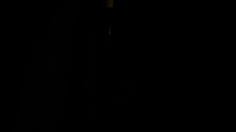 jestersquid89 online show from September 2025 10:31:01 PM